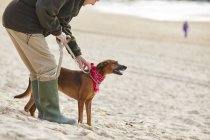 Человек и собака на пляже, залив Константин, Корнуолл, Великобритания — стоковое фото
