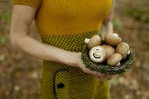 Обрезанный вид зрелой женщины, держащей гнездо с грибами — стоковое фото