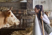 Vista lateral de mujer en granero cara a cara con vaca - foto de stock