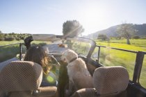 Raer view of mature woman and dog in convertible car — Stock Photo