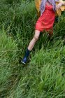 Женщина, ходящая в высокой траве, с подкошенным видом — стоковое фото