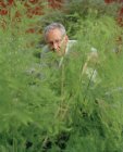 Старший мужчина ухаживает за растениями в саду — стоковое фото