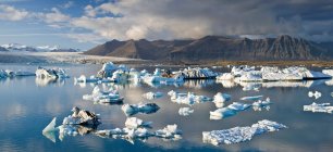 Icebergs flotando en aguas glaciares - foto de stock