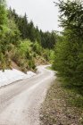 Gravel road in forest — Stock Photo