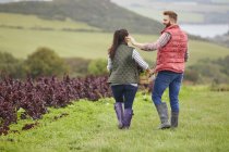 Hinteransicht eines Paares bei der Salaternte auf einem Bauernhof — Stockfoto