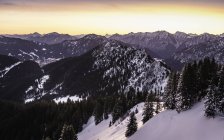 Gama de montanhas cobertas de neve com pinheiros ao nascer do sol — Fotografia de Stock