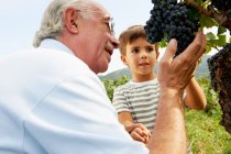 Abuelo y niño mirando uvas - foto de stock