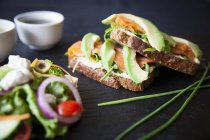 Копчена риба та авокадо відкриті бутерброди з салатом — стокове фото