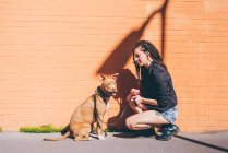 Young woman with dreadlocks crouching to pit bull terrier in front of orange wall — Stock Photo
