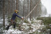 Logger spingendo albero, Tammela, Forssa, Finlandia — Foto stock
