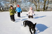 Дети и собака бегают по снегу — стоковое фото