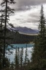 Живописный вид на озеро Луиз, Альберта, Канада — стоковое фото