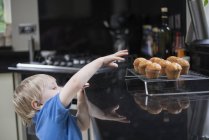 Молодий хлопчик на кухні, тягнеться до свіжоспечених кексів — стокове фото