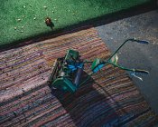 Cortador de grama no tapete com ouriço de brinquedo — Fotografia de Stock
