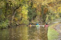 Cuatro kayakistas remando en el río Dee, Llangollen, Gales del Norte - foto de stock