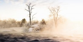 Fog rolling through snowy landscape — Stock Photo