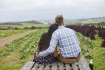 Couple in rural location sitting on pallets looking away — Stock Photo