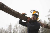 Logger carrying log, Tammela, Forssa, Finland — Stock Photo