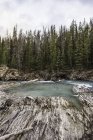 Cascate del ponte naturale, Kicking Horse River, Yoho National Park, Field, British Columbia, Canada — Foto stock