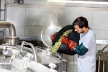 Worker in brewery, adding hops to brew kettle — Stock Photo