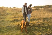 Giovane coppia a piedi con cane nel campo autunnale — Foto stock