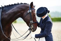 Female rider petting dressage horse in equestrian arena — Stock Photo