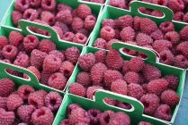 Fresh raspberries in boxes for sale — Stock Photo