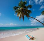 Donna sdraiata su un asciugamano sulla spiaggia — Foto stock