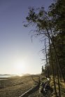 Strand und Wald bei Sonnenaufgang, rathrevor beach provincial park, vancouver island, britisch columbia, canada — Stockfoto