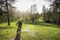 Woman mountain biking, Jenesien, South Tyrol, Itália — Fotografia de Stock