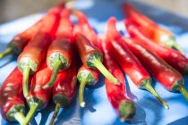 Gruppo medio di peperoncini rossi freschi su panno — Foto stock