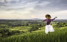 Vista elevada de terraços de arroz Jatiluwih e espantalho, Bali, Indonésia — Fotografia de Stock