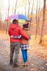 Paar spaziert im Herbst auf Feldweg, Regenschirm dabei, Rückansicht — Stockfoto