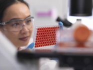 Cientista preparando uma micro placa com amostras de sangue para testes médicos em laboratório — Fotografia de Stock