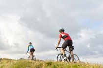 Rear view of Cyclists riding past meadow — Stock Photo
