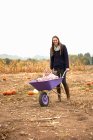 Portrait of mid adult woman pushing toddler daughter in wheelbarrow in pumpkin field — Stock Photo