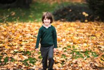 Niño en el parque en otoño mirando a la cámara sonriendo - foto de stock