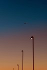 Самолет над уличными фонарями — стоковое фото