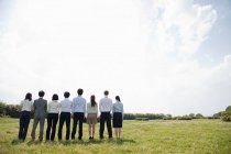 Businesspeople in a row in field, rear view — Stock Photo