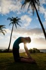 Donna che pratica yoga in campo erboso — Foto stock