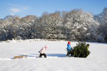 Children pulling Christmas tree — Stock Photo