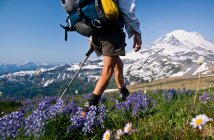 Female backpacker on Cowlitz Divide, Mount Rainier National Park, Washington, USA — Stock Photo