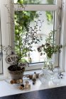 Pentola per piante, cartellini del prezzo vintage e bobine di filo sul davanzale della finestra — Foto stock