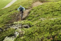 Young female mountain biker cycling up hillside track — Stock Photo