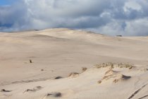 Vue panoramique sur les dunes de sable sous un ciel nuageux — Photo de stock