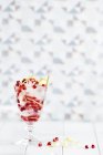 Cocktail in glass with lemon rind and pomegranate — Stock Photo