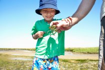 Garçon examinant crabe dans la main des pères — Photo de stock
