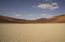 Alberi morti distanti su tegame di argilla, Deaddvlei, Parco Nazionale Sossusvlei, Namibia — Foto stock