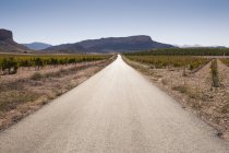 Prospettiva decrescente di strada vuota attraverso vigneto e catena montuosa, regione di Jumilla, Spagna — Foto stock