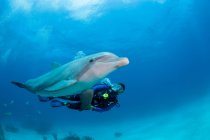 Closeup shot of diver with dolphin swimming underwater — Stock Photo